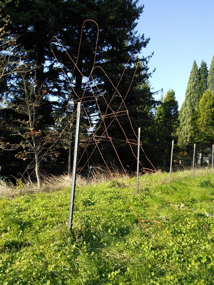 Borders, Boundaries, & Transition Zones — Julia March Crocetto